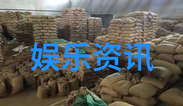 东京笑语录揭秘日本综艺节目的魅力