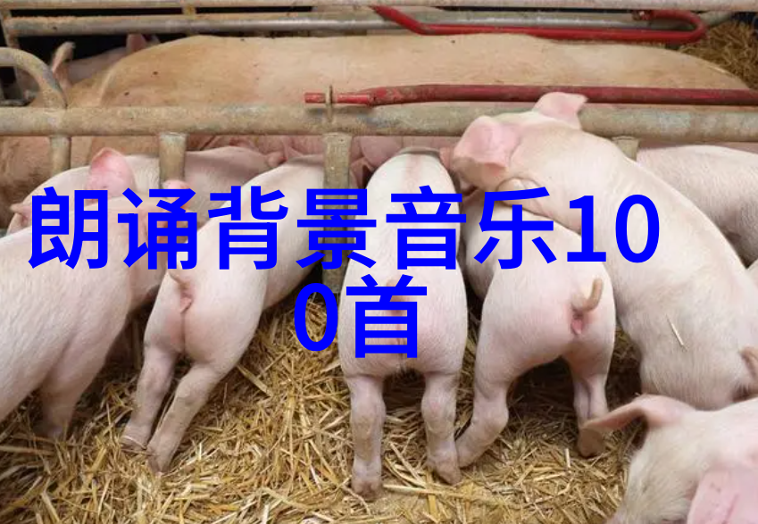 冬日的温暖雪梨城市之冠