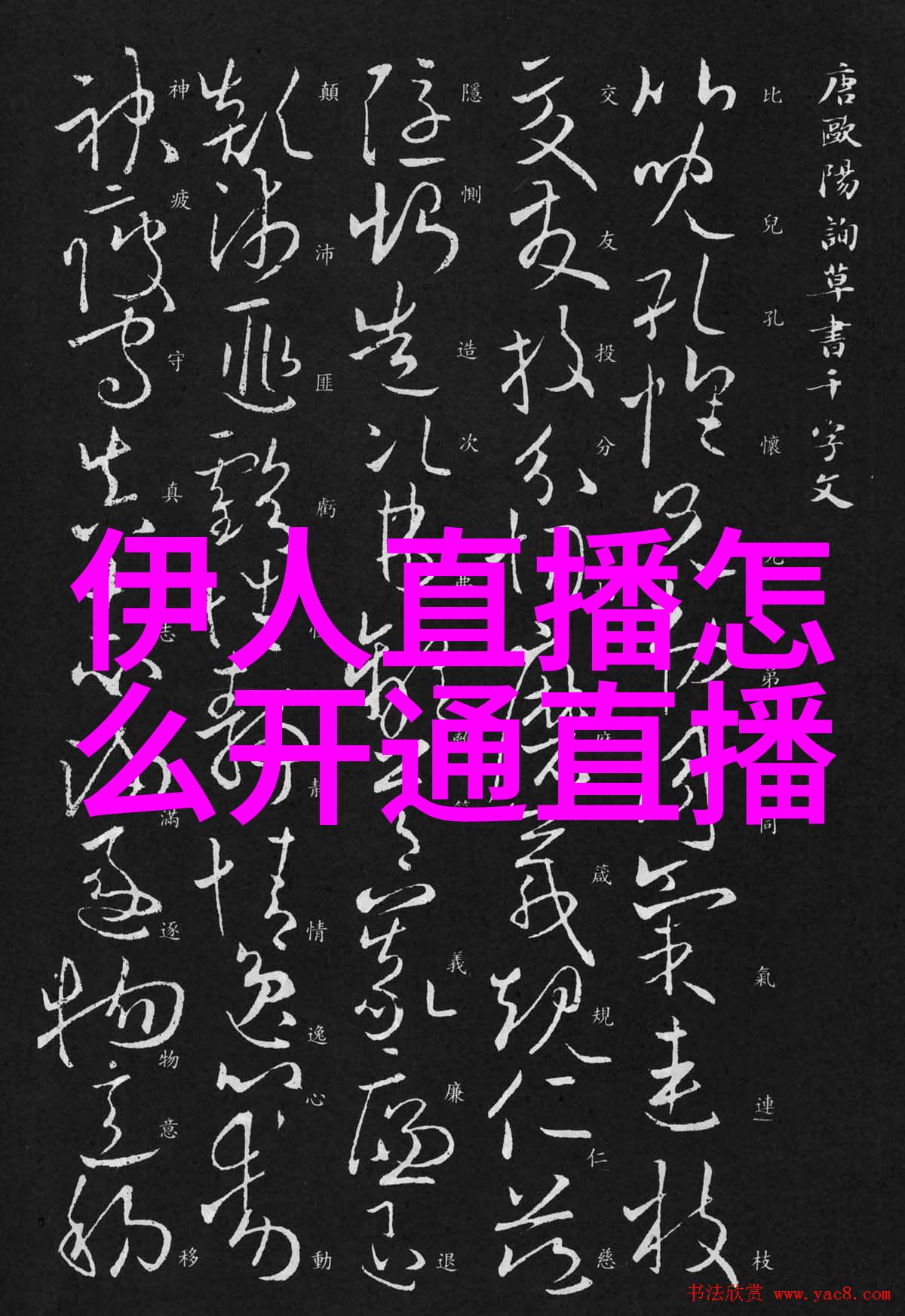 皇家娱乐指南宫廷盛宴中的时尚舞步与星光闪烁的夜空