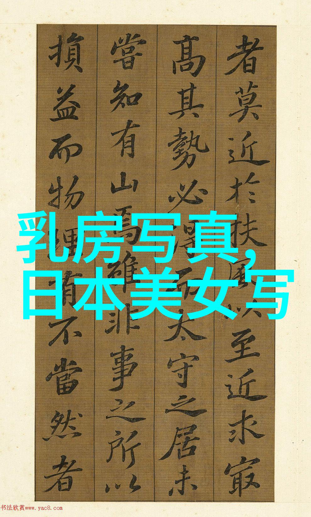 百度智能识别图片高效解锁视觉世界的奥秘