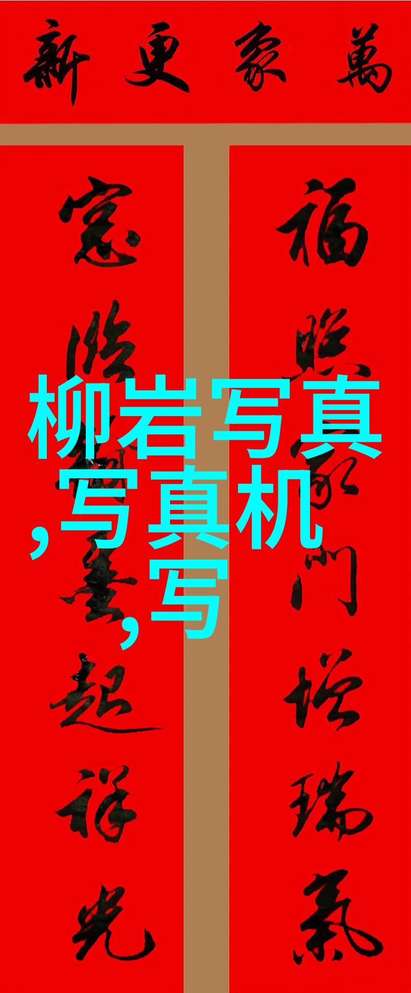 国产品质之冠48X系列的卓越成就