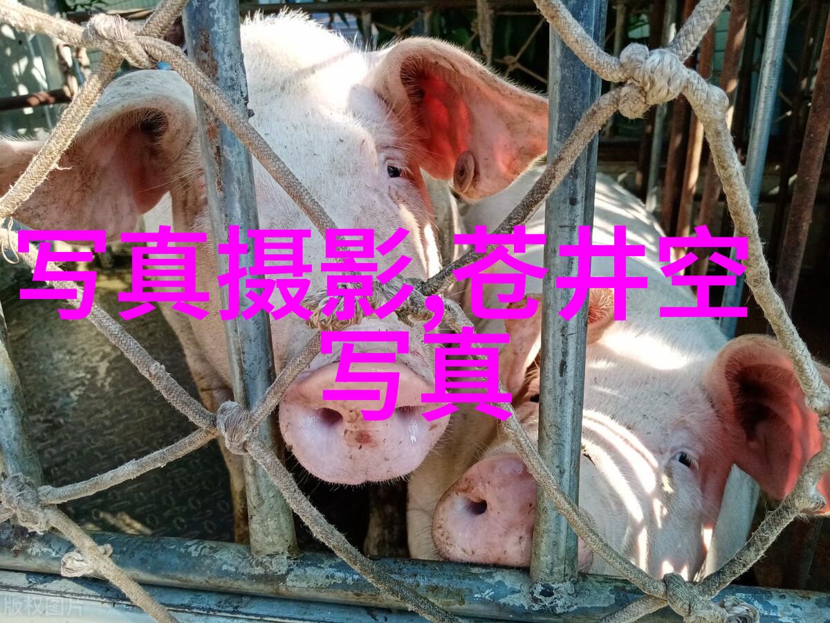 她的话语中隐藏的秘密