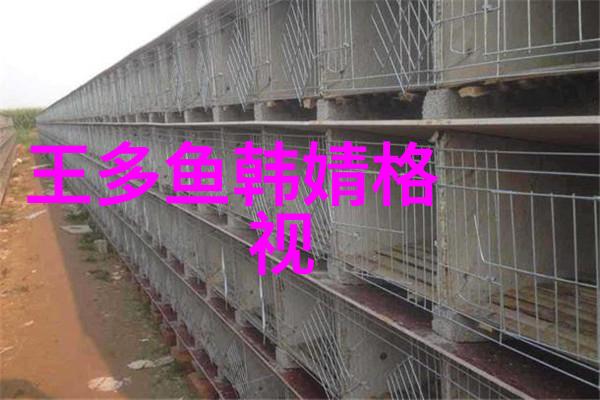 河边的错误揭秘一部颠覆传统电影艺术的奇幻之作