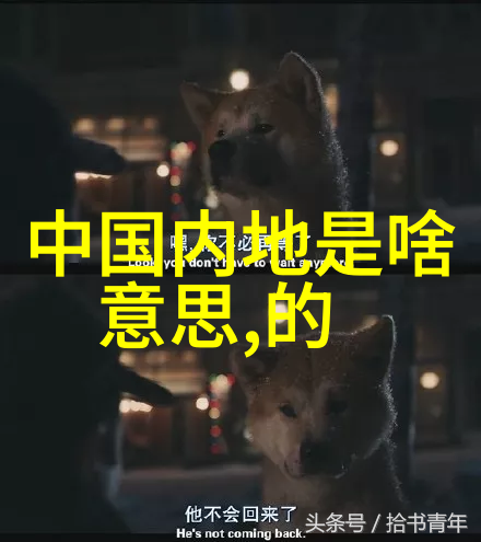 影视仓 - 幕后大师揭秘影视仓库的数字化转型