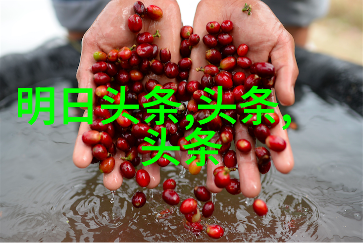 太古仙人穿越异界的奇遇