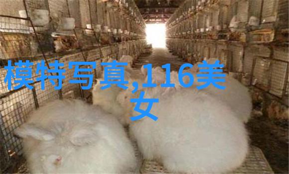 绝版高冷女网名有寓意的繁体字好看昵称大全反复探索文明之美