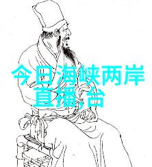 写真集设计中隐藏的艺术秘密是什么