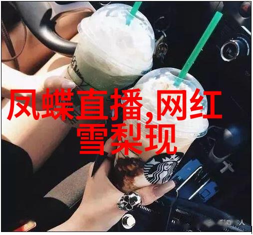低端影视剖析B级片与C级电影的魅力与挑战