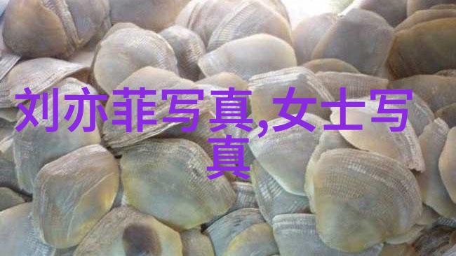 图片搜索技术-百度图像识别解锁视觉数据的无限可能