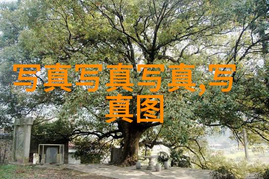 汪峰背后的故事成长挑战与对未来的展望