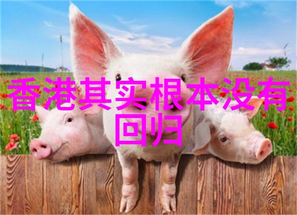 揭秘五行八卦福正品图片解读与文化内涵