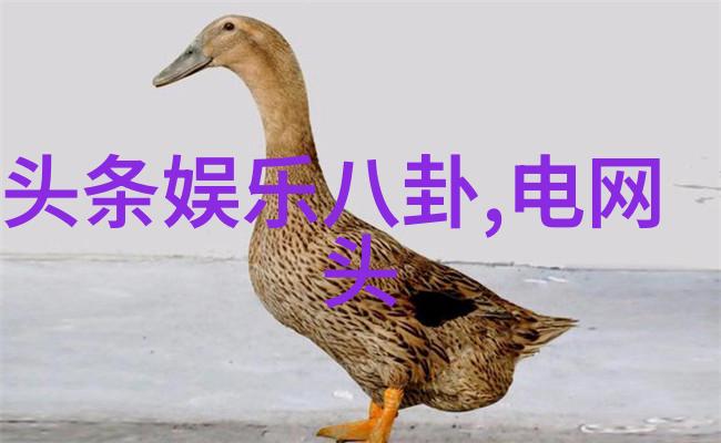 智能手机时代下的图像识别革命百度扫一扫的无缝体验