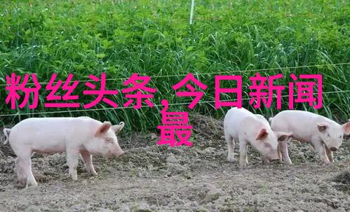 情头图片识别新技术扫一扫解锁爱情故事