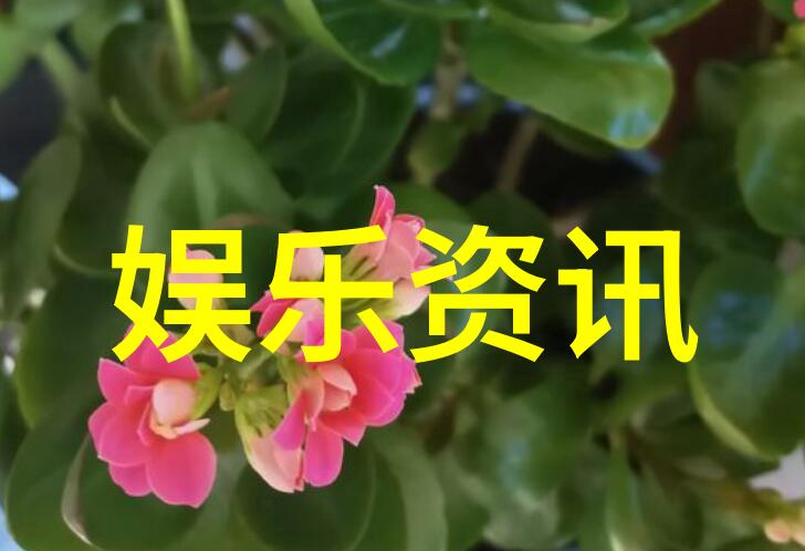 时代少年团综艺向往的生活下期精彩蘑菇屋变照相馆彭昱畅张子枫勇敢跳伞