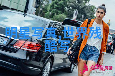 李斯丹妮的视觉诗歌艺术风格分析