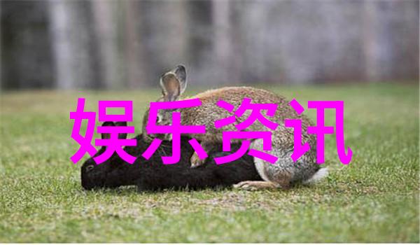 时尚穿搭色彩与线条的舞蹈