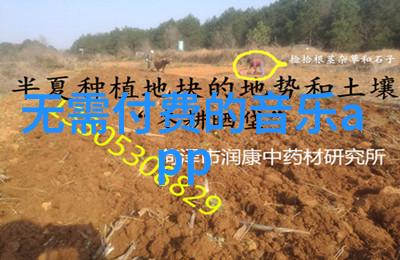 探索视觉盛宴背景图片大全的艺术与实用