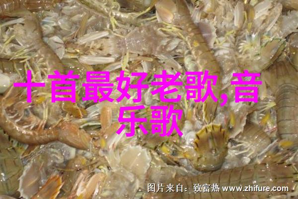 娘道电视剧逆袭之花