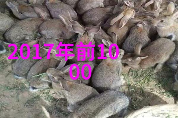 娱乐八卦爆料最受关注的星光新闻