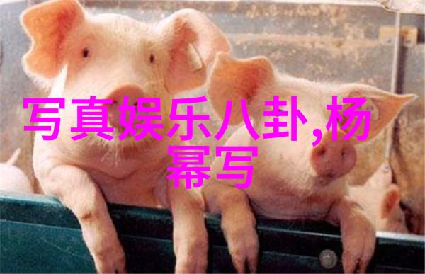 力量潜能者攀岩篇上线王清华72小时挑战人生高度白色空白图片幕后揭秘人物成长故事