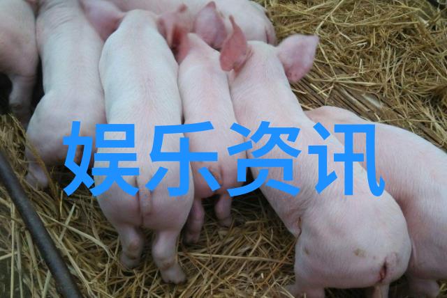 在我们的美好生活综艺中一位观众的惊人发现一个人看的费高清中文字幕竟然无广告免费观看网友们纷纷表示早就