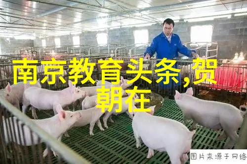 色戒是如何通过历史事件和个人故事来探讨爱情牺牲与忠诚的问题