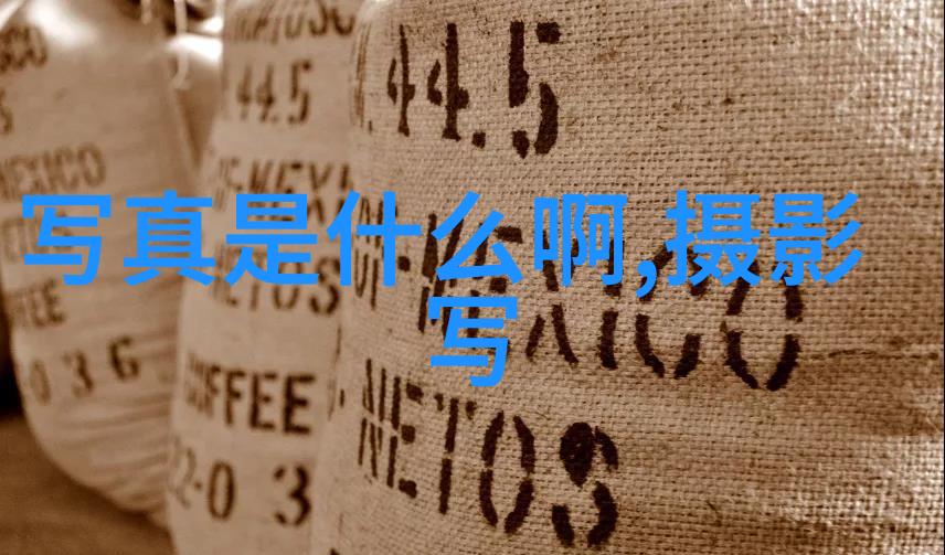 火爆音乐榜单抖音上最热门的十首歌曲