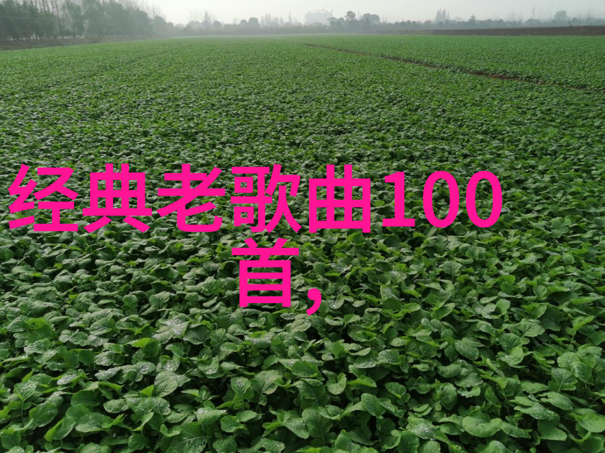 重生之天才神棍超能力觉醒的巅峰篇