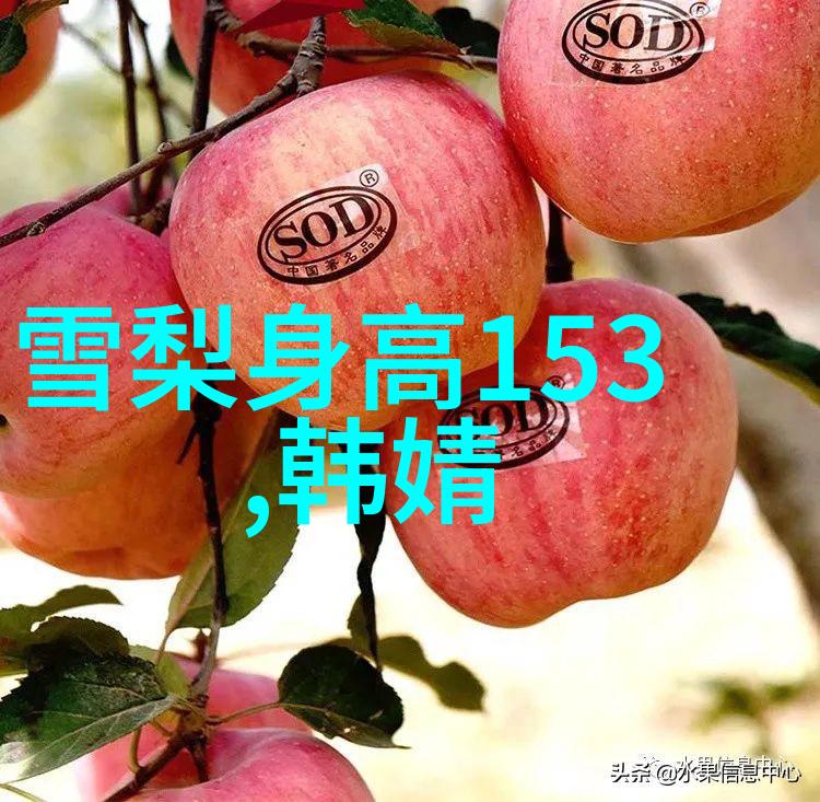 我的世界我来浮夸 华晨宇火星演唱会将办