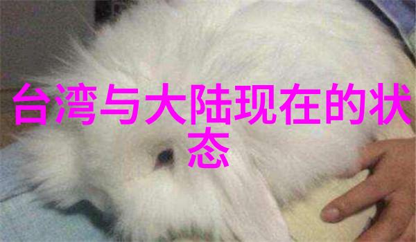 电影与电视-月光影视大全高清版探索中外精品影视世界