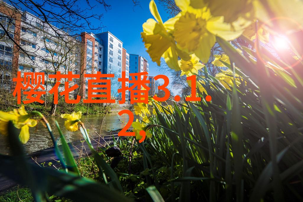 最全的免费音乐网站助力黄义达重燃热度十年首场个唱真我之声回归