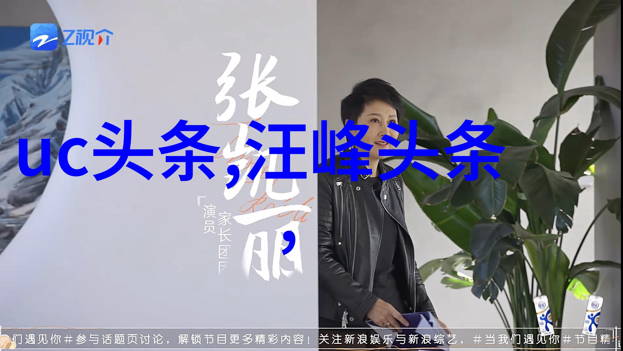 如何衡量一个演员的实力探索娱乐圈的演技标准