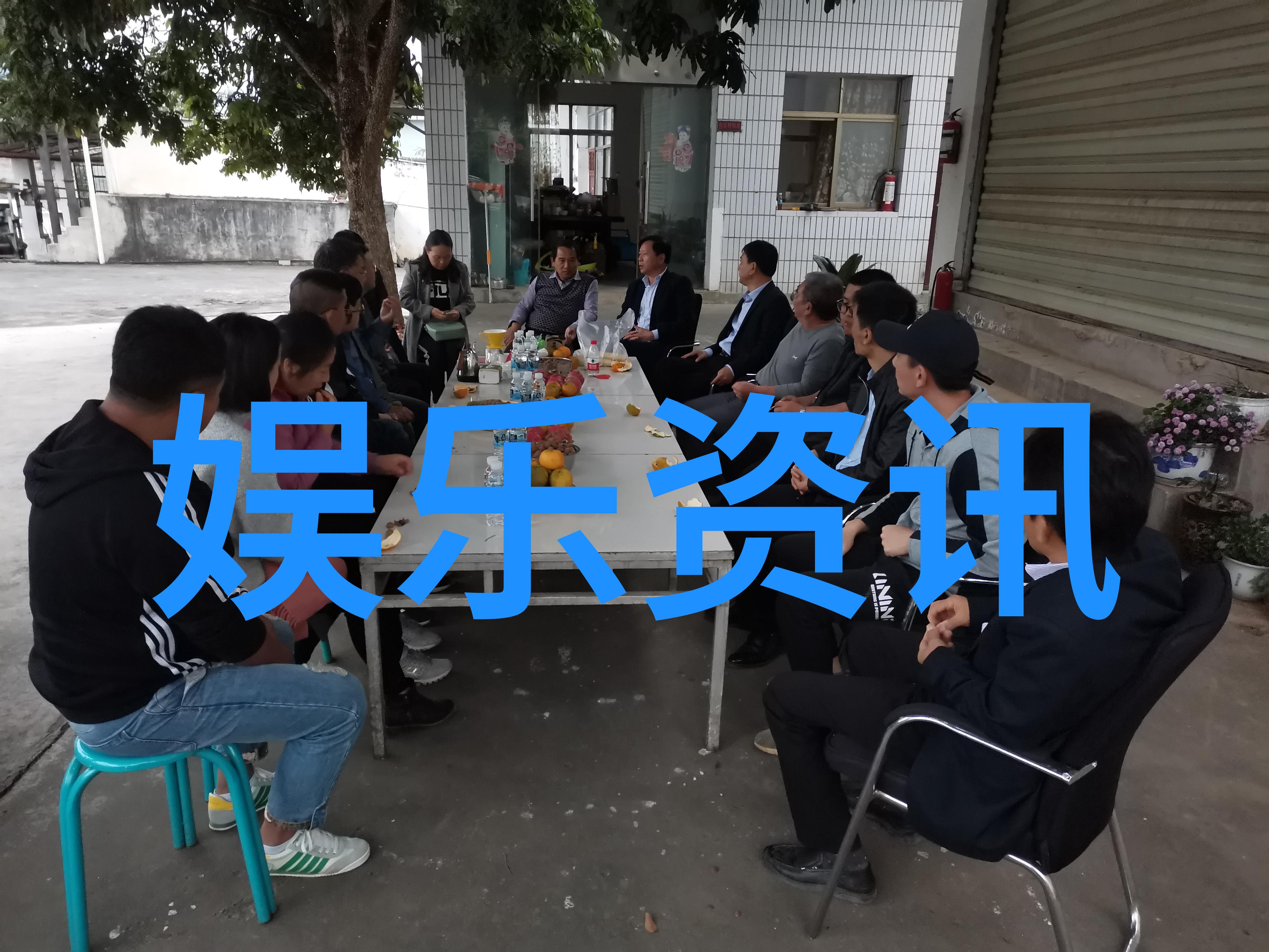 九九电视剧揭开青春的秘密花园