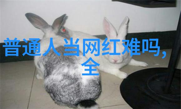 美丽图片素材网站高清壁纸下载
