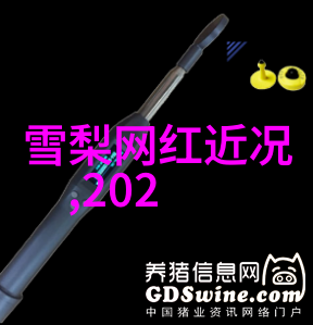 家庭关系的复杂性探索电影中女朋友妈妈的角色