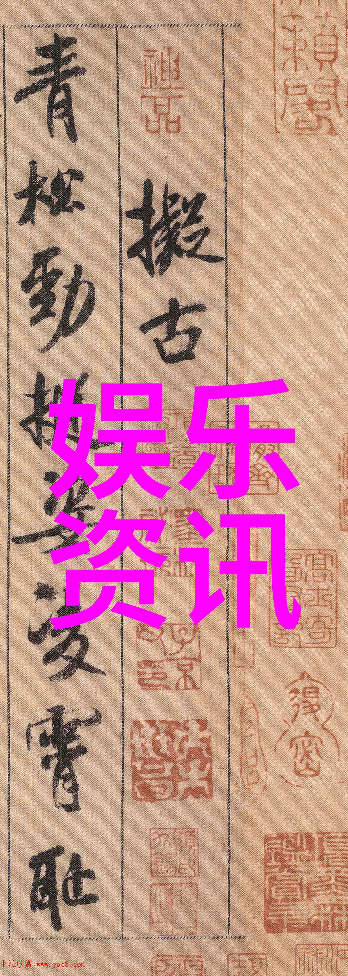 女性力量小妇人免费观看与讨论