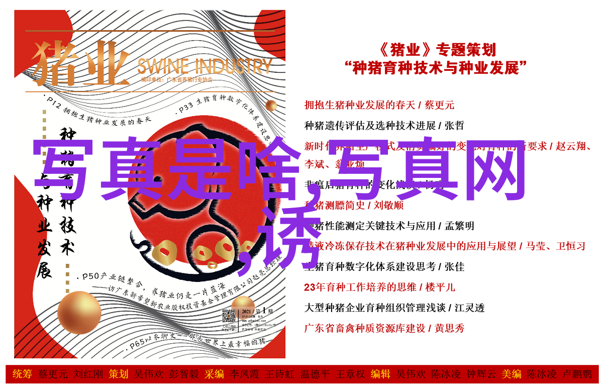 雪梨朱宸慧豪宅的秘密所在追踪一座传奇之屋的足迹