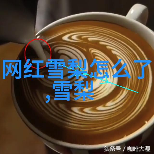 影视界的新贵探索酷客文化的奇迹与魅力