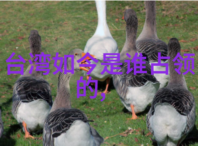 天天娱乐对我们的身心健康有何影响