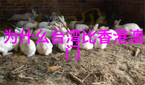 传统文化中的现代魅力中国古典画中的荷花图案汇编