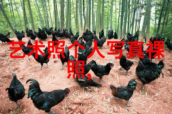 娱乐圈幕后真相与人心深处的恐惧