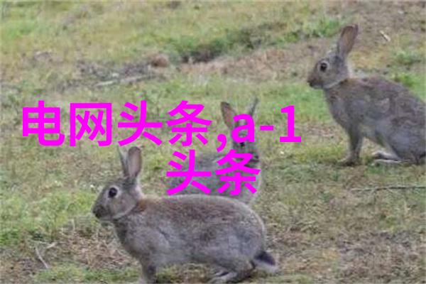 台湾妹中文娱乐网我是怎么在台湾妹网上发现隐藏宝藏节目的小秘密