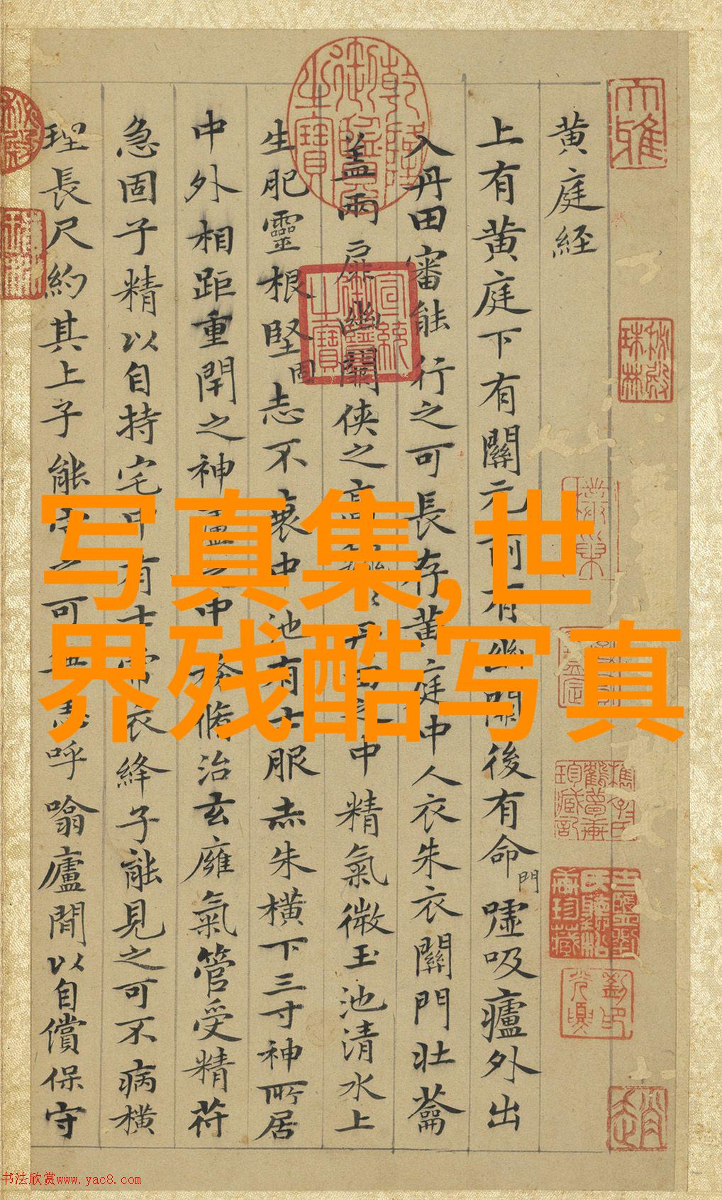 偶像来了 综艺闪耀舞台上的偶像梦想