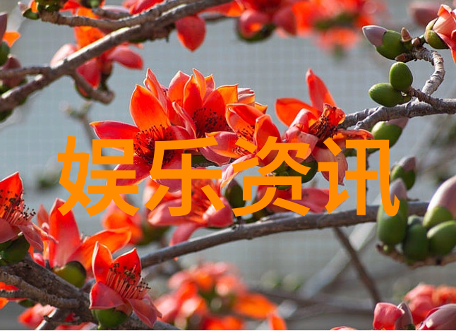 当自主意识成为新闻头条的条件