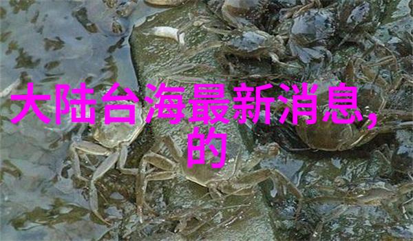 重生香港之娱乐后宫星光梦回旧巷
