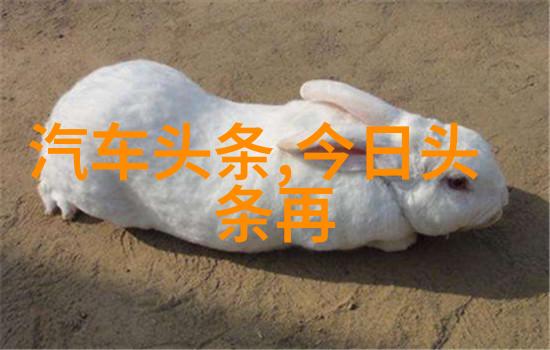和亲小说熙瓜不是瓜-跨文化婚姻中的误解与真相探索熙瓜背后的故事