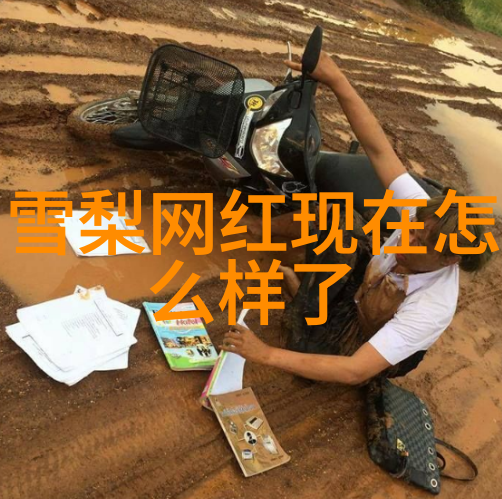 编织声音梦想了解一下那些因其丰富功能而受到喜爱的免費音樂下載軟體