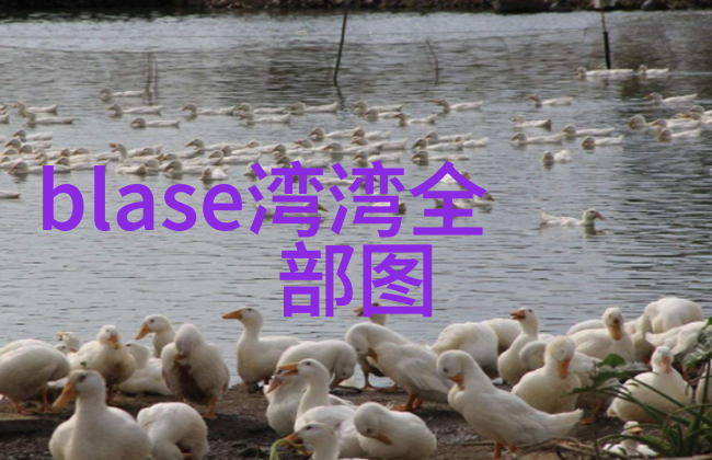 张艺兴新歌动起来活力上线皇家娱乐指南人物唤醒无限能量