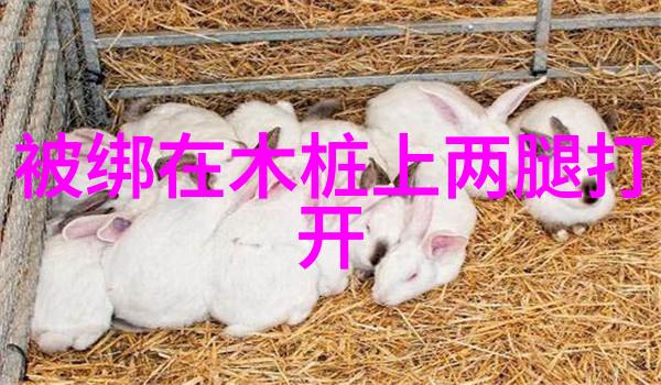 年末年初双重周期观察对于出生于大年初六及附近时间的人群的特别关注
