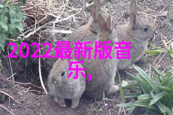 从拳坛到综艺陈思诚的王宝强暗示一场意料之外的跨界交响